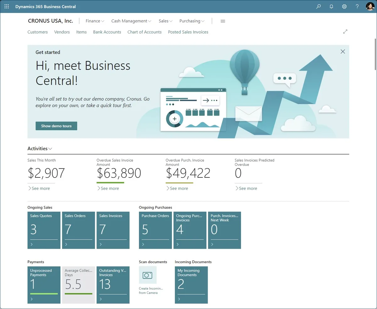 Microsoft Dynamics 365 Business Central Interface